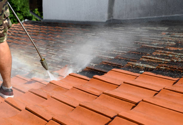 Best Deck Cleaning Services  in Shallotte, NC