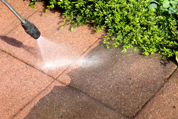 Best Local Pressure Washing Services  in Shallotte, NC